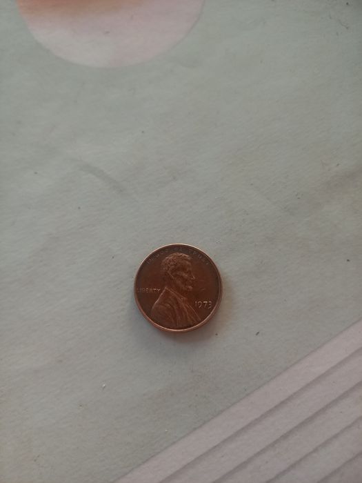 Aqsh 1973 yil zarb berilgan 1 cent tangasi