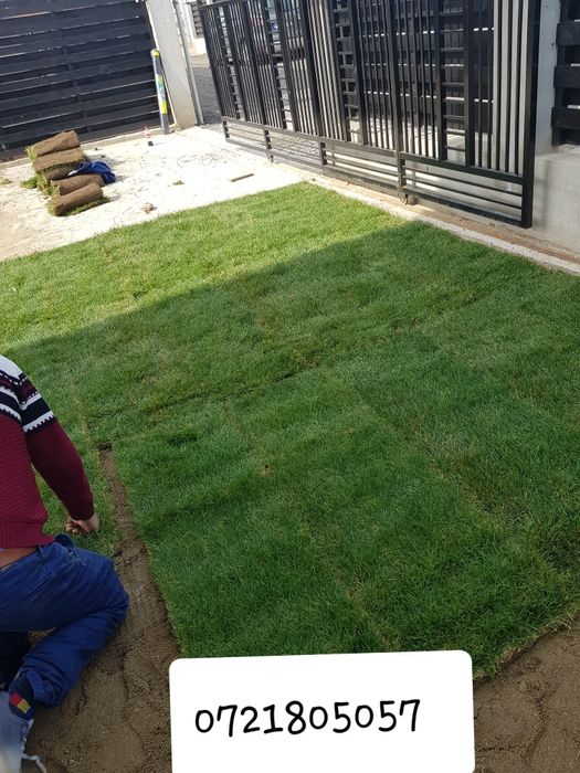 Gazon rulou sport/ calitate extra /asiguram transport și montaj