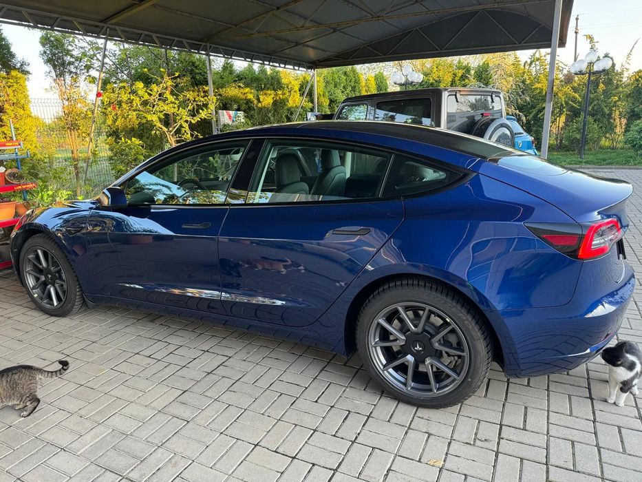 Tesla Model 3 Primul proprietar