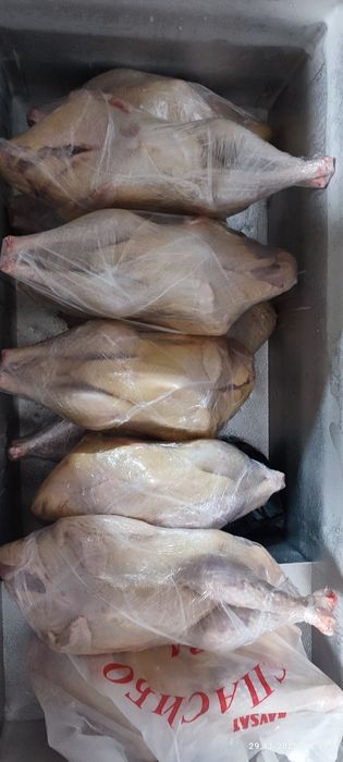 Продам мясо индейки 3тыс