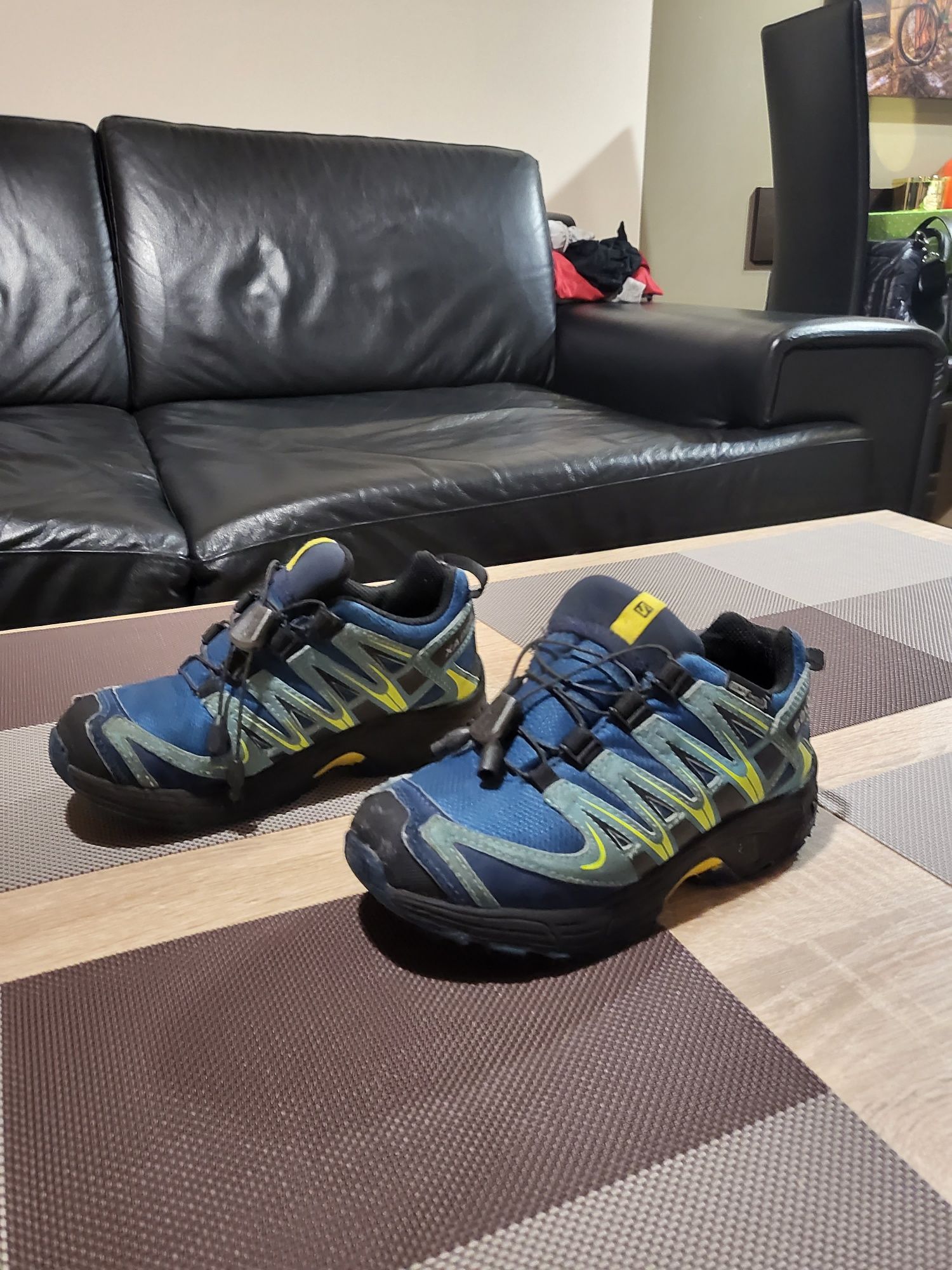 Salomon XA PRO Shield