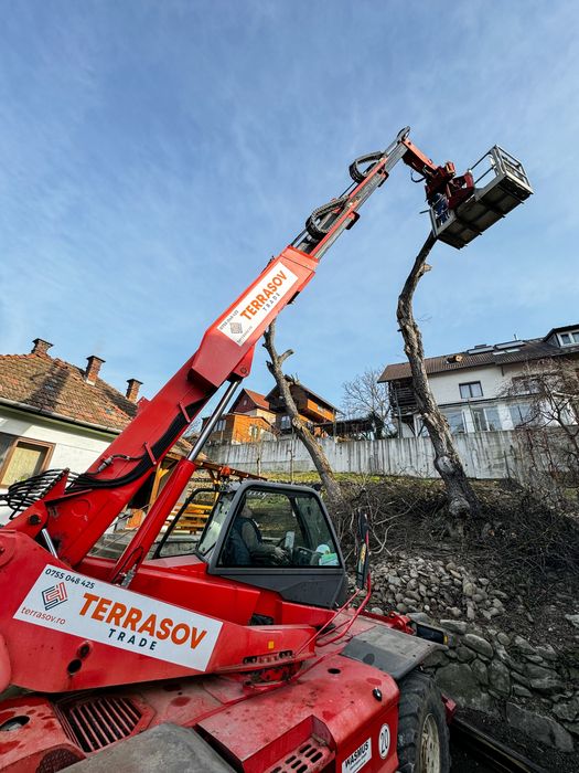 Taiere profesional a arborilor Brasov / copaci cu platforma de lucru