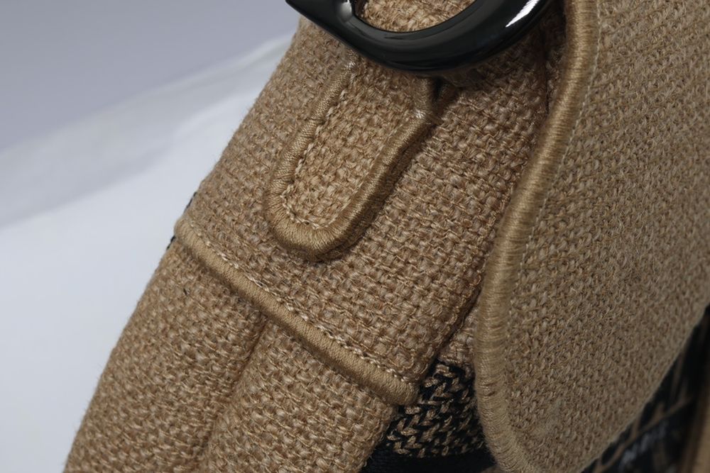 Geanta Christian Dior Saddle, tip Premium