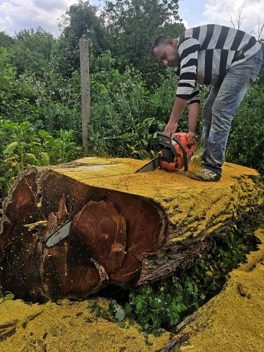 Бичене на трупи .