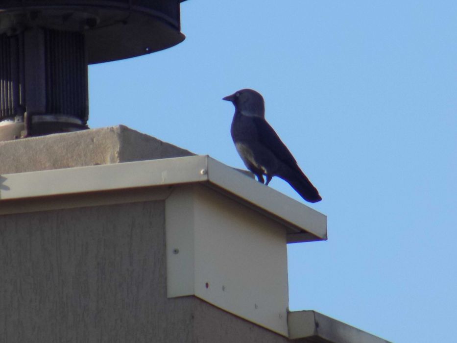 Nikon Coolpix L340 - 20.2 МРх