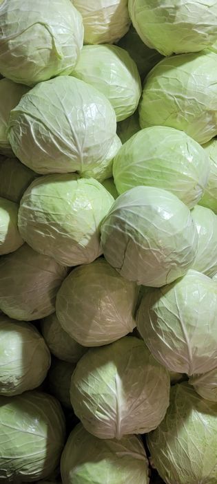 Продам капусту, самовывоз из с. Кривоозерка.