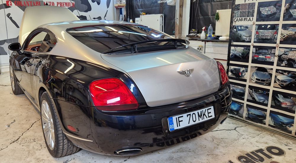 Servici colantari auto