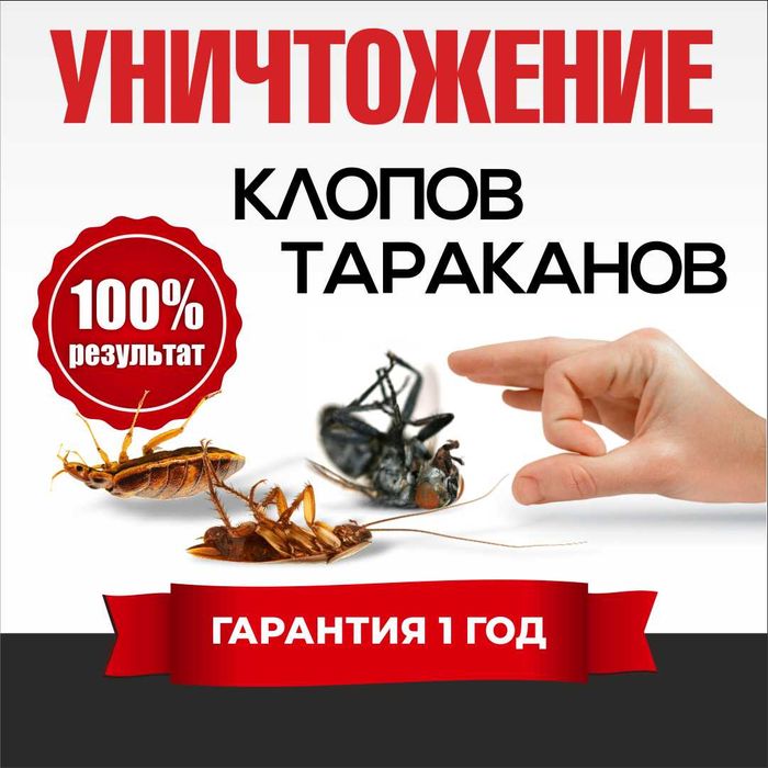 Дезинфекция Уничтожение клопов крыс тараканов клещей комаров муравьев