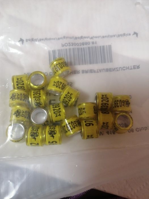 Vînd inele porumbei