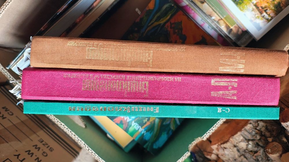 Енциклопедия на изобразителното изкуство в България 3 тома