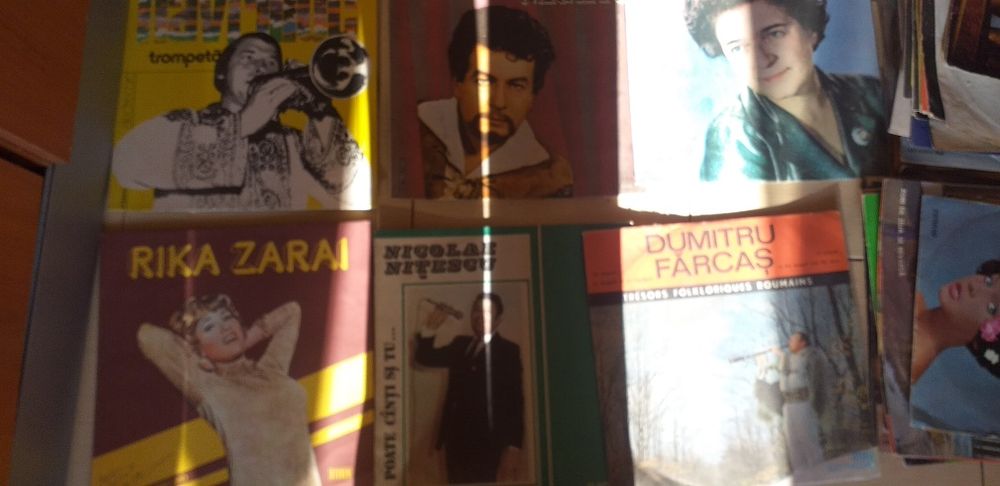 Discuri de vinil