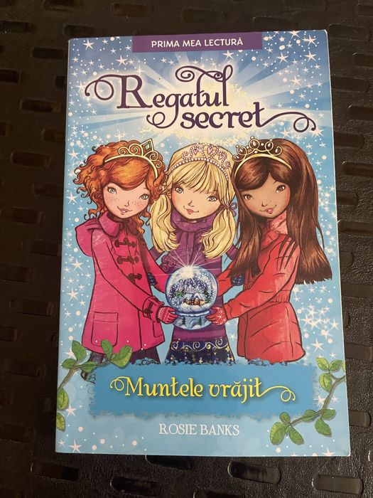 Regatul secret - carti pentru copii 6-10 ani