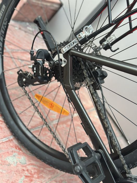 Scott Subb Cross 50