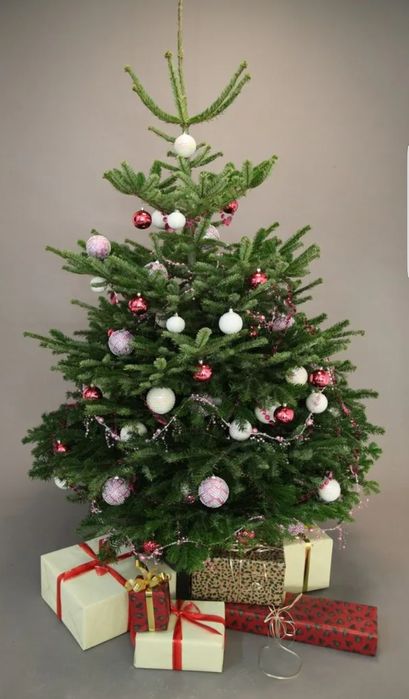 Новогодняя зелёная ёлка с ароматом леса! С доставкой на дом, оптом