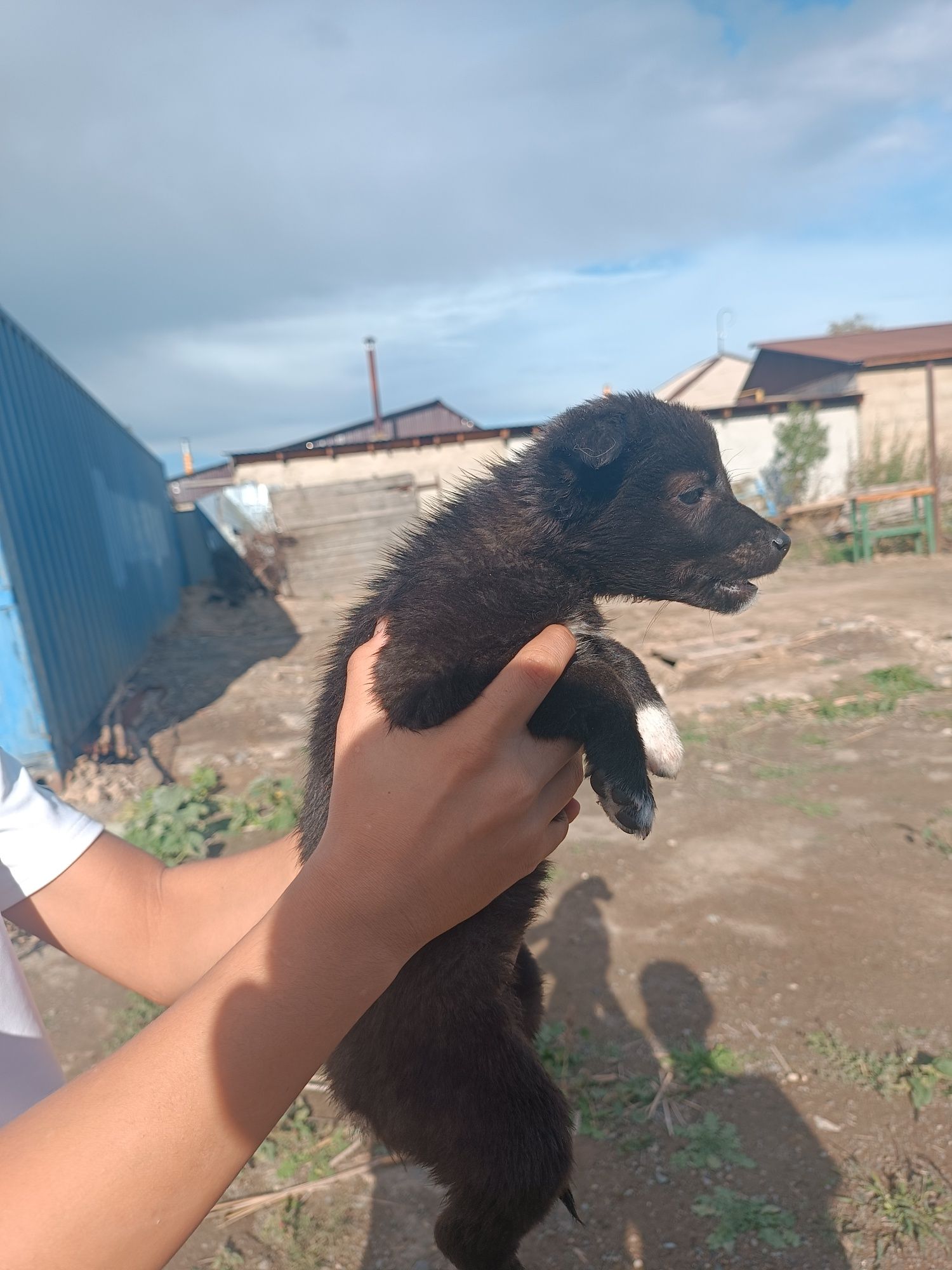 3 Кандек ургашы жаксы