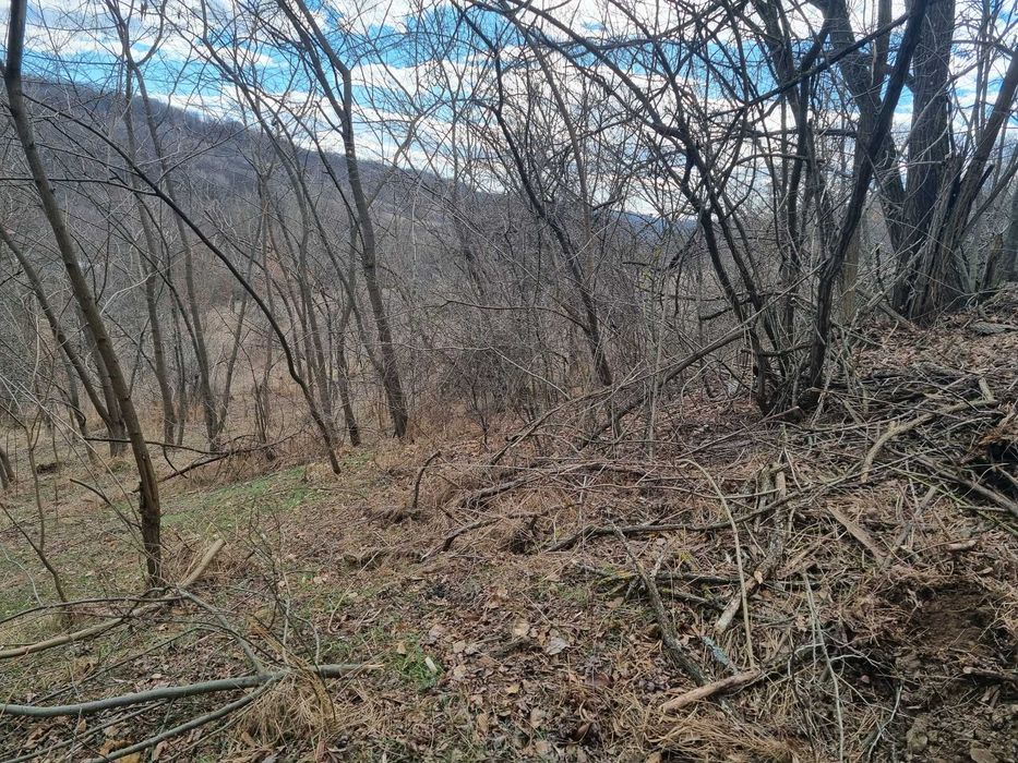 Teren extravilan si intravilan de vanzare in Valcea, Opatesti