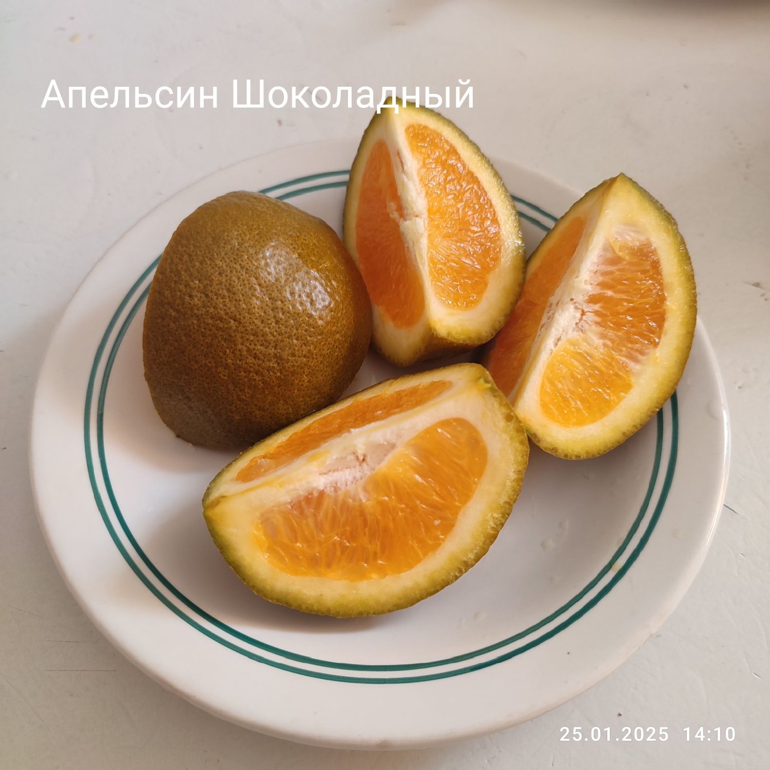 Апельсины, Мандарин, Лайм, Гранат