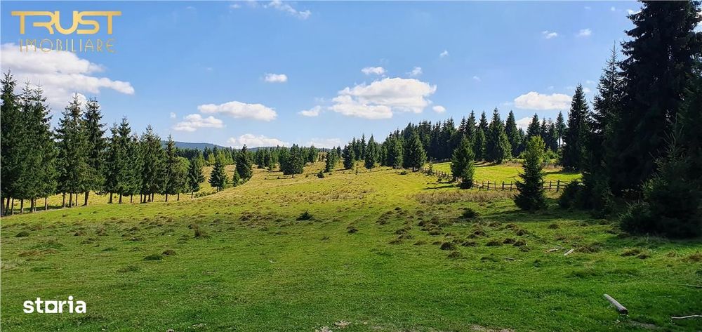 Oportunitare | Teren 1ha cu PUZ | Belis