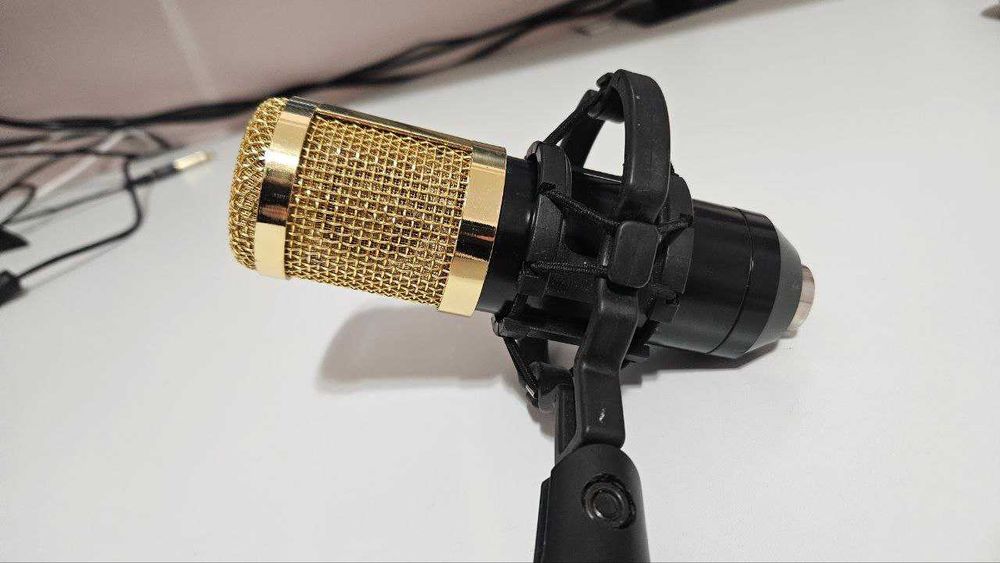 Microphone BM800 XLR