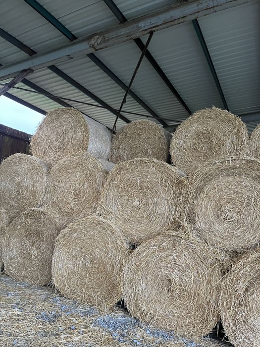 Бали слама пшеничена
