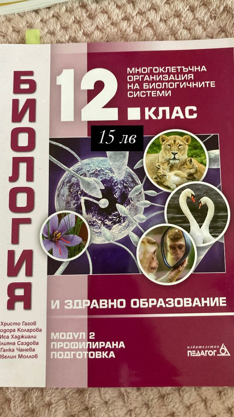 Учебници и помагала за 12 клас