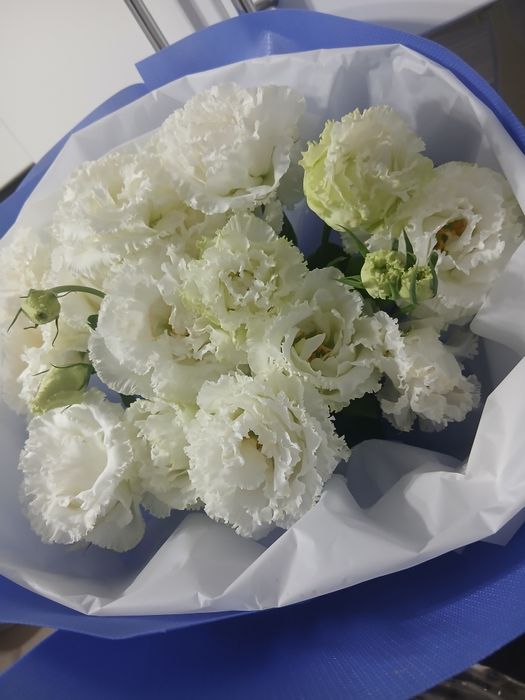 Букет цветов свежие, красивые