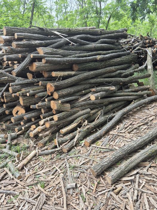 Vind lemn foc salcim tăiate capete