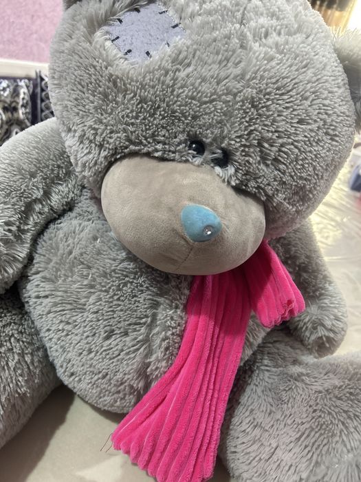 Teddiy ayiq ortacha kattalikda yangi sfati zor