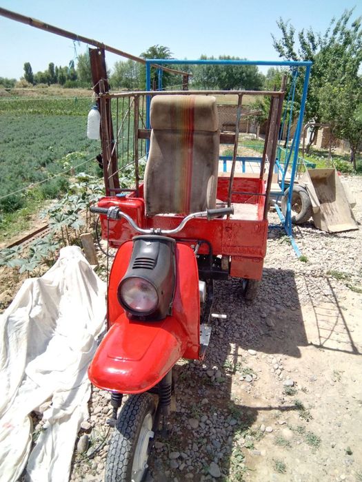 Muravi  holati yaxshi yurib turibdi