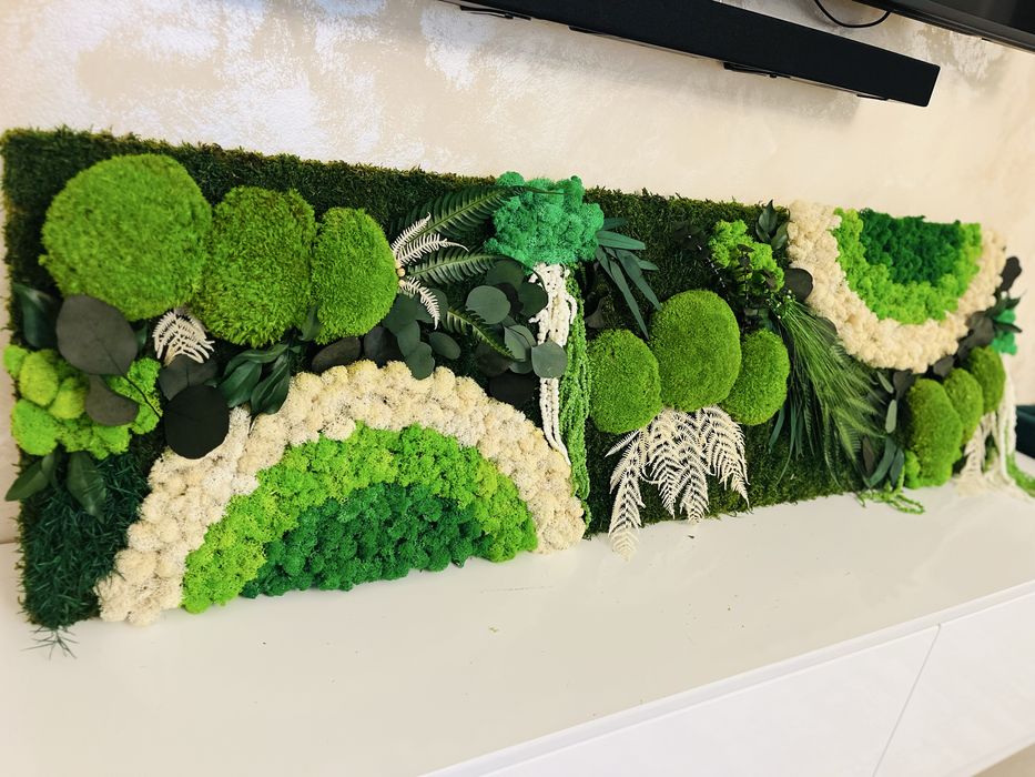 Ceasuri/tablouri cu licheni si plante naturale stabilizate