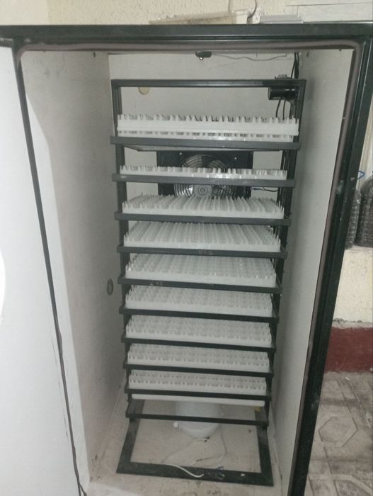 Инкубатор 1000 талик