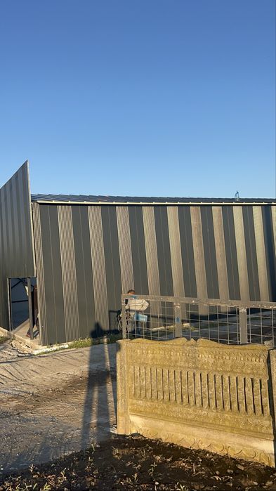 Vand executam hale metalice orice suprafata dorita pret neg