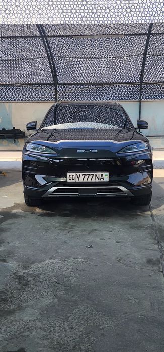 byd 605 champion