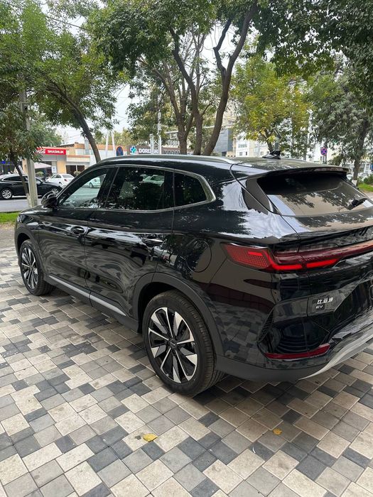 BYD Chempion 605km 2025