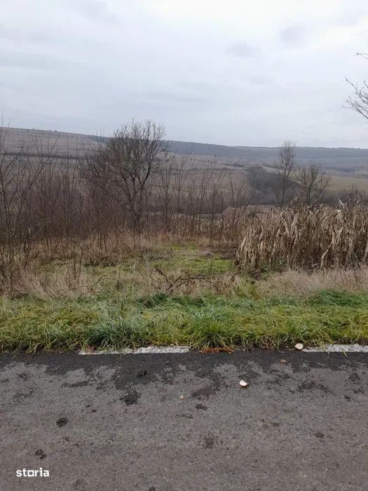 Teren intravilan cu CF, 1000 mp, sat Giula