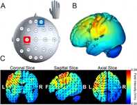 Мозъчен Електростимулатор Go Flow 4mA tDCS Brain Stimulator + ПОДАРЪЦИ
