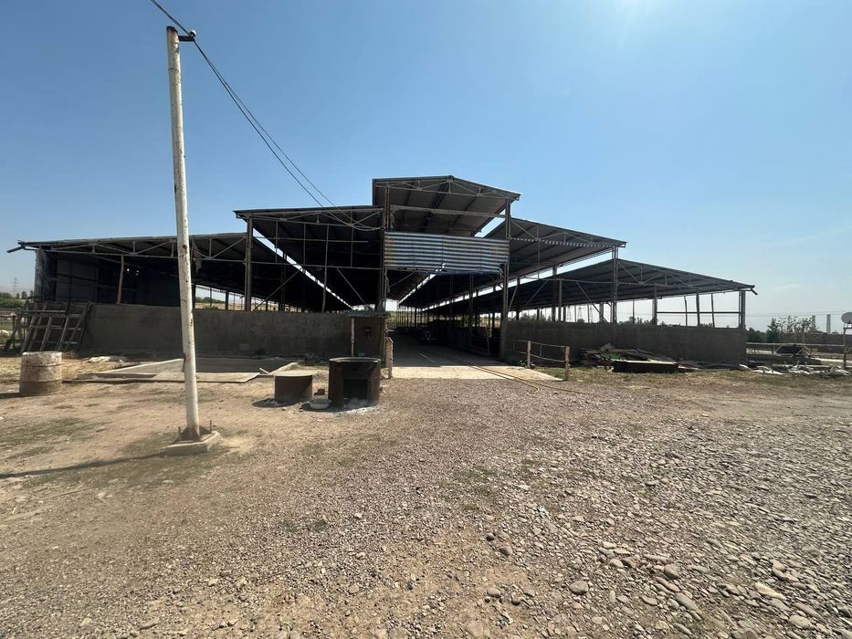 Ферма сотилади , 2.5 гектар