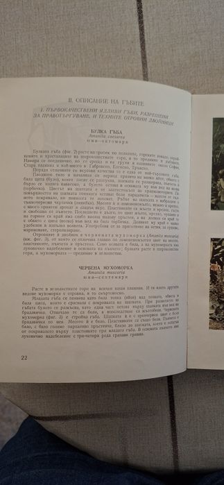 Продавам книга-ръководство за диворастящи и култивирани гъби