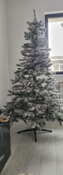 Brad de Craciun cu Zapada