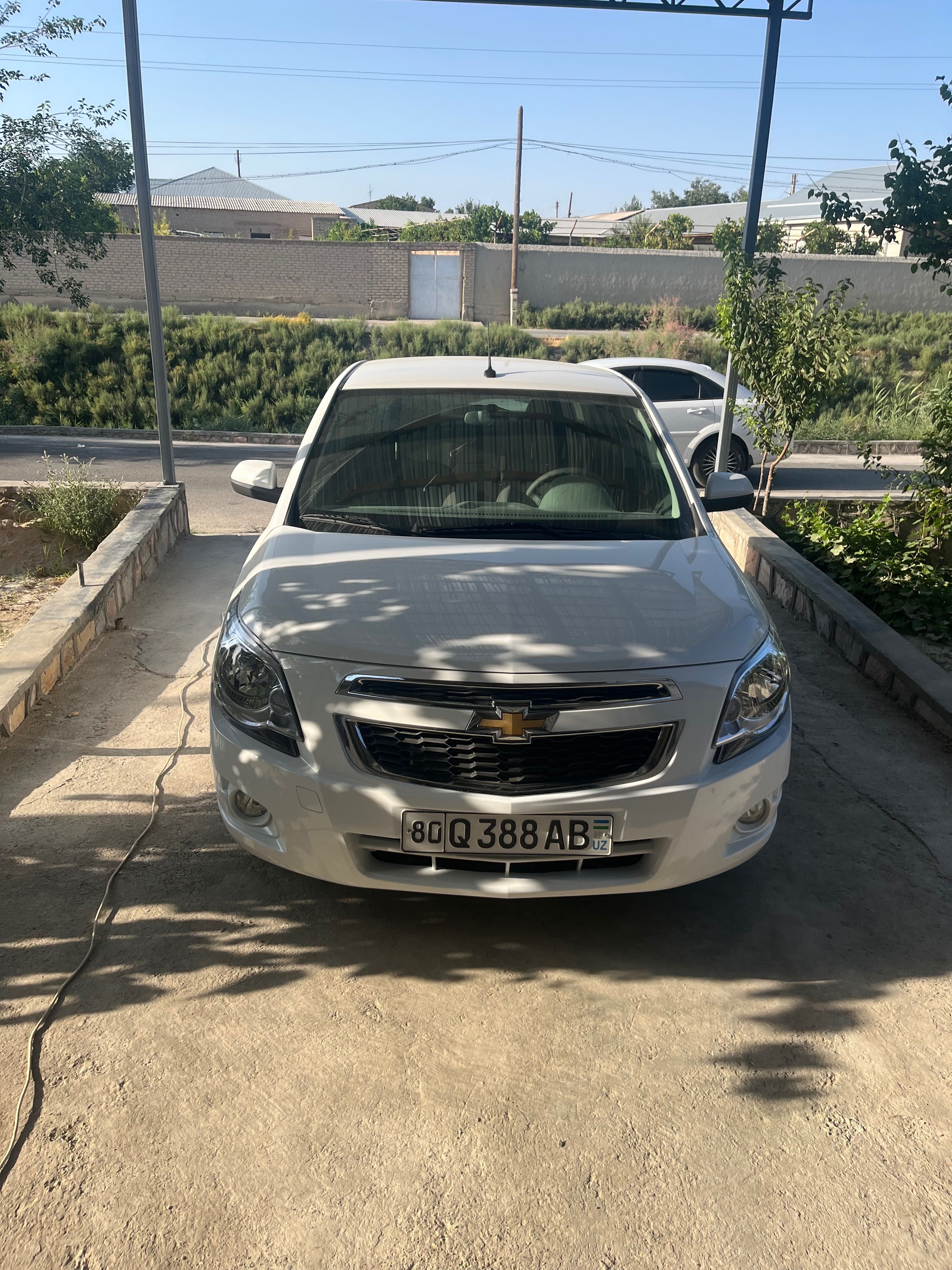 Yangi cobalt salonsan