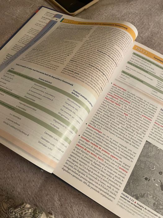 Vand Ross Histologie