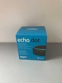 Amazon Alexa Echo Dor