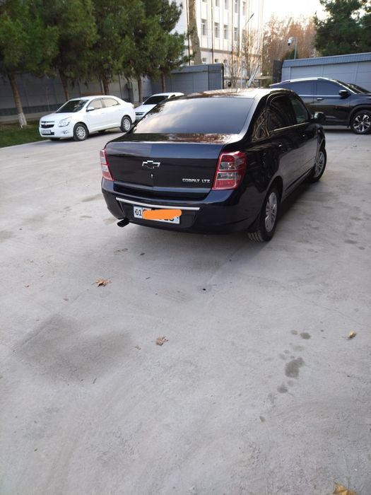 Kobalt sotiladi. 2023 Dark moon blue