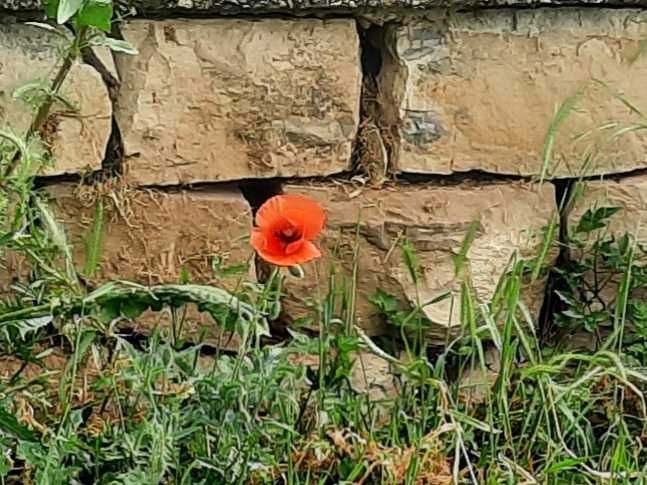 Преподаватель английского языка