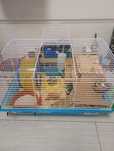Vând cușcă pentru hamster