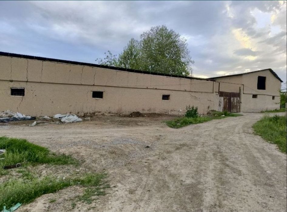 Ферма 10соток. Нурхает.