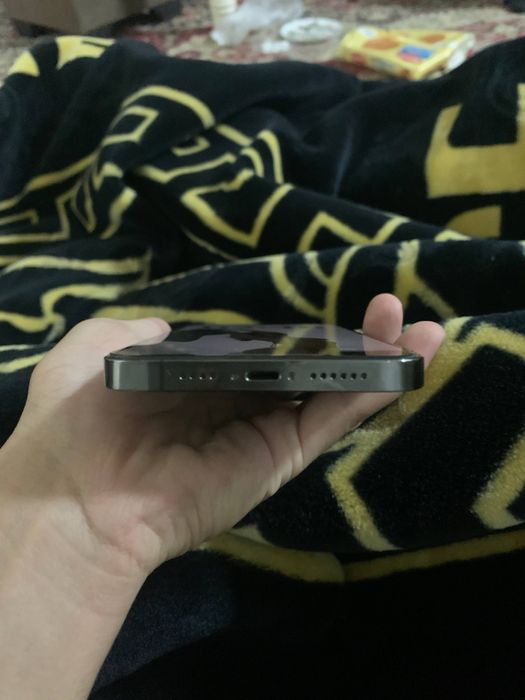 13 PRO MAX 10/10 holat