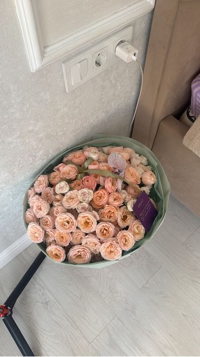 Цветы продам срочно