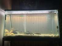 Acvariu 350 L  . 1.000 lei