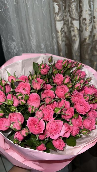 Гүл сатылады жаңа кустовой пионы арзан бағада